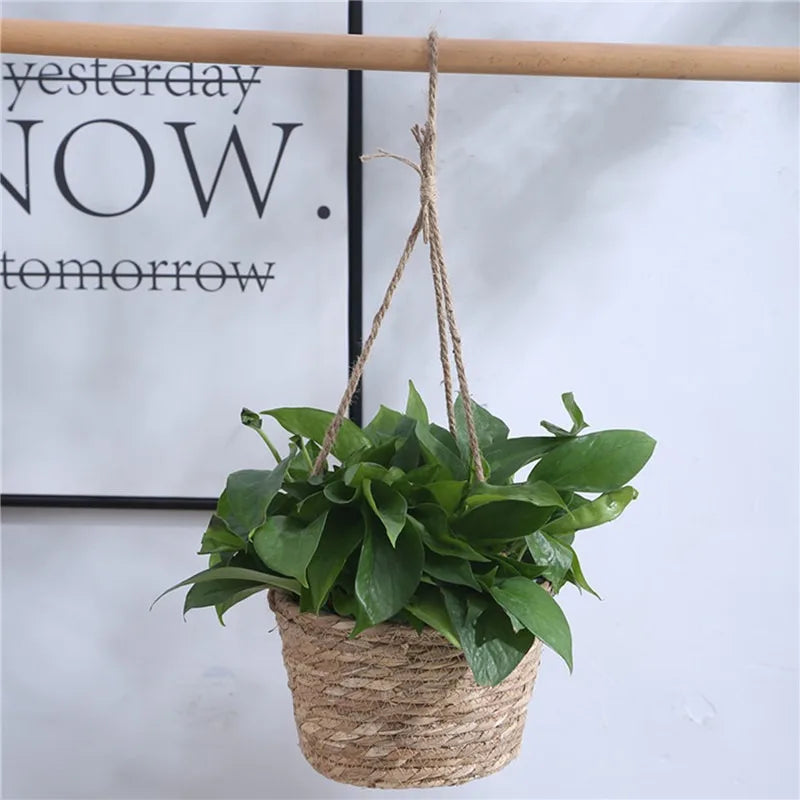 Handwoven Hanging Plant Basket – Indoor & Outdoor Planter