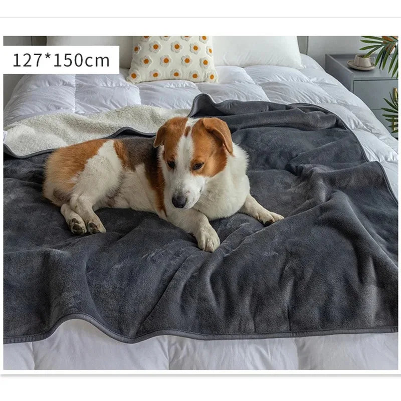 Premium Waterproof Pet Blanket