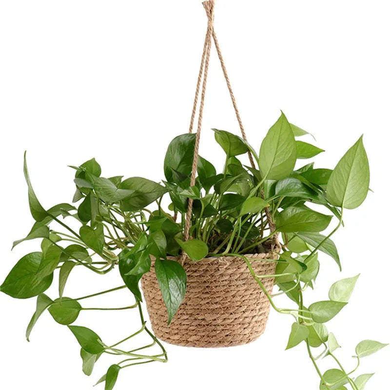 Handwoven Hanging Plant Basket – Indoor & Outdoor Planter